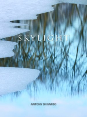 cover image of Skylight